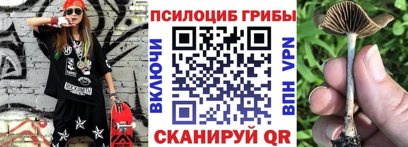 Псилоцибиновые грибы Magic Shrooms  кракен   Жиздра 