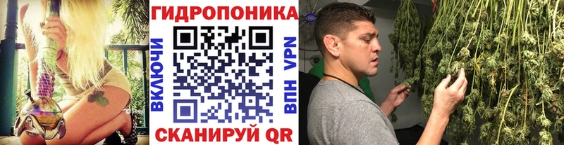 наркотики  Жиздра  Шишки марихуана план 